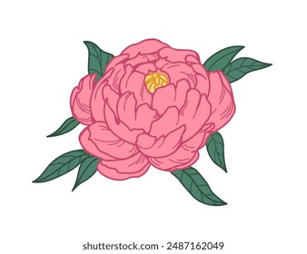 Peony flower blossom. Japanese blooming plant, floral bud with leaf in vintage retro style. Realistic botanical drawing, design element. Hand-drawn vector illustration isolated on white background