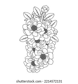 Peony Flower Bouquet Doodle Art Of Flower Coloring Page Outline Vector Graphic Isolated Background.
Easy Sketches Pencil Drawing Of Black And White Line Art Design. Beautiful Peony Blooming Petal.