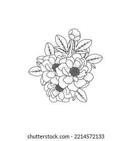 Peony Flower Bouquet Doodle Art Of Flower Coloring Page Outline Vector Graphic Isolated Background.
Easy Sketches Pencil Drawing Of Black And White Line Art Design. Beautiful Peony Blooming Petal.