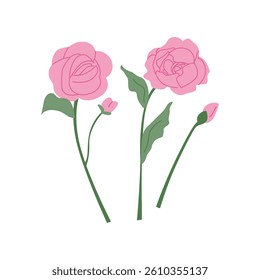 Peony flower branches with leaves. Vector flat botanical illustration on isolated background