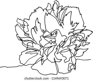 Peony flower close-up, minimalist black and white illustration of one continuous line, flora fauna, beauty, fashion, aesthetics, plants, modern art, emotional drawing.