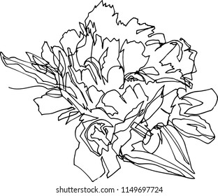 Peony flower close-up, minimalist black and white illustration of one continuous line, flora fauna, beauty, fashion, aesthetics, plants, modern art, emotional drawing.