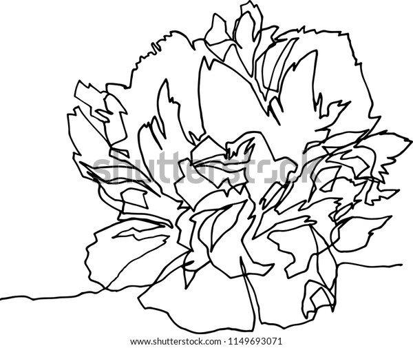 Peony Flower Closeup Minimalist Black White Stock Vector