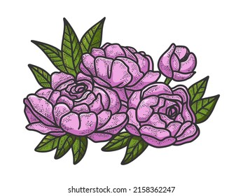 peony flower color sketch engraving vector illustration. T-shirt apparel print design. Scratch board imitation. Black and white hand drawn image.