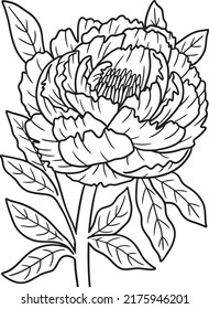 Peony Flower Coloring Page for Adults