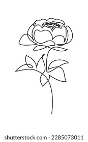 Peony flower in continuous line art drawing style. Black linear sketch isolated on white background. Vector illustration