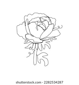 Peony Flower Continuous One Line Drawing. Hand Drawn Minimalism Style of Simple Flower Line Art Drawing