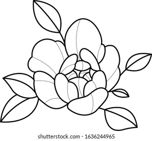 peony flower decorative vector element sketch 