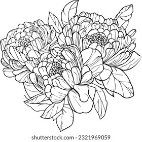 peony flower drawing, vector sketch hand drew illustration artistic, simplicity, coloring pages, printable peony flower coloring pages, flower coloring sheet, isolated on white background.
