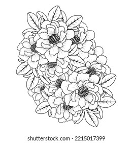 Peony Flower Easy Sketches Pencil Drawing Of Black And White Line Art Design Outline. Chinese Peony Flower Bouquet Doodle Art Of Flower Coloring Page Outline Vector Graphic Isolated Background