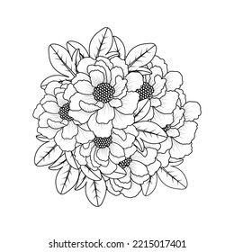 Peony Flower Easy Sketches Pencil Drawing Of Black And White Line Art Design Outline. Chinese Peony Flower Bouquet Doodle Art Of Flower Coloring Page Outline Vector Graphic Isolated Background