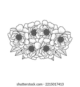 Peony Flower Easy Sketches Pencil Drawing Of Black And White Line Art Design Outline. Chinese Peony Flower Bouquet Doodle Art Of Flower Coloring Page Outline Vector Graphic Isolated Background