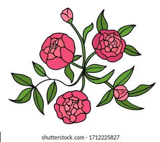 Peony Flower Graphic Color Isolated Sketch Bouquet Illustration Vector