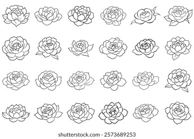 Peony Flower Hand Drawn Line Art Drawing Illustration On Isolated White Background