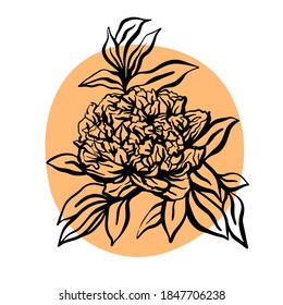Ilustración vectorial con mano de flores peony. Ilustración moderna minimalista. Diseño de tarjetas de felicitación, invitaciones, redes sociales