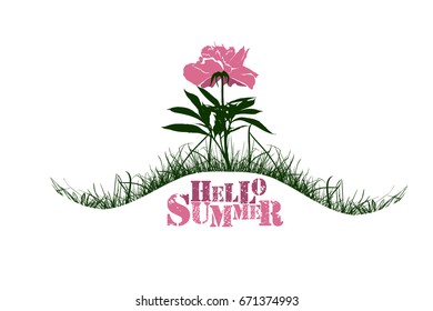 Peony flower. Hello summer. Vector
