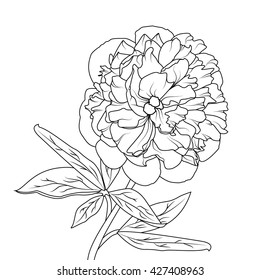 Peony Flower Isolated Black On White Stock Vector (Royalty Free ...