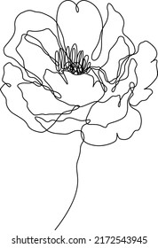 Peony flower isolated vector illustration. Vector wildflower for background. Abstract botanical art. Simple minimalist art. Continuous line drawing.