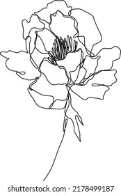 Peony flower isolated vector illustration. Vector wildflower for background. Abstract botanical art. Simple minimalist art. Continuous line drawing.