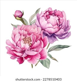 Peony flower isolated in white background. watercolor vector for wedding invitation, printing, sublimation, mug, tshirt, tumbler