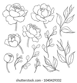 Peony Flower And Leaves Line Drawing. Vector Hand Drawn Outline Floral Set. Simple Botanical Peonies, Branch And Berry Countur. Black Ink Sketch. Great For Tattoo, Invitations, Greeting Cards, Decor