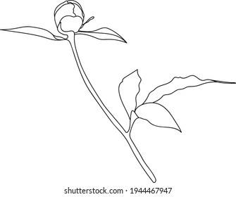 Peony Blume, Line Art. Vektorgrafik. Einzeln auf weißem Hintergrund. Handzeichnung. Skizze. Für Accessoires, Postkarten, Tätowierungen, Dekoration.