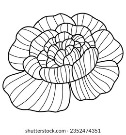 Peony flower line detail. Vector illustration with flower theme. Suitable for wedding invitation, aesthetic decoration, social media post, banner, promotion, advertising, etc.