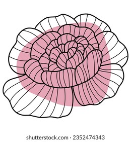 Peony flower line with shape. Vector illustration with flower theme. Suitable for wedding invitation, aesthetic decoration, social media post, banner, promotion, advertising, etc.
