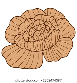 Peony flower line vintage. Vector illustration with flower theme. Suitable for wedding invitation, aesthetic decoration, social media post, banner, promotion, advertising, etc.