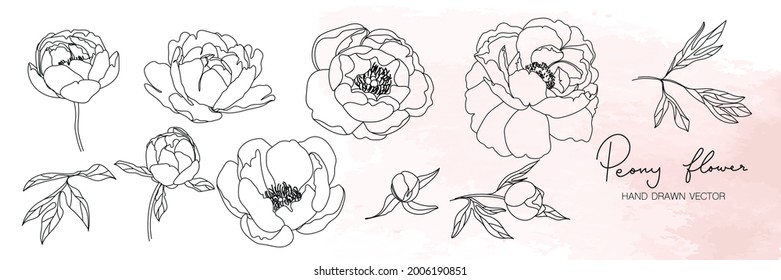 Peony flower in minimal botanical graphic sketch line art drawing, trendy tiny tattoo design, floral elements vector illustration