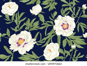 Peony flower. Seamless pattern, background. Colored vector illustration. In botanical style on space blue background.	
