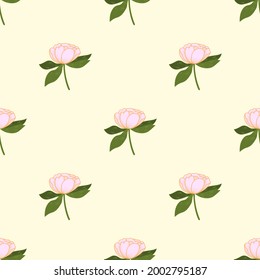 Peony flower seamless patterns. Botanical floral vector design for paper, cover, wallpaper, fabric, textile, and other project.