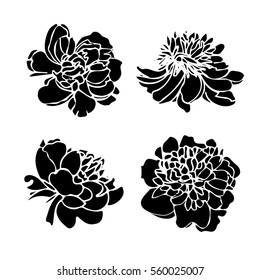 Peony flower silhouette set. Black and white flowers isolated.  Great for spring festival banners, wedding invitations, bridal shower. Vector illustration