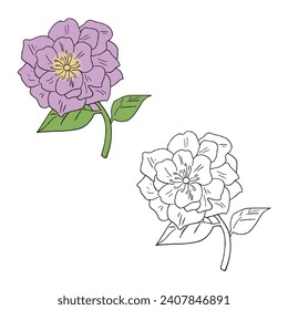 a Peony Flower. Simple Design Outline Style. You can give color you like. Vector Illustrations