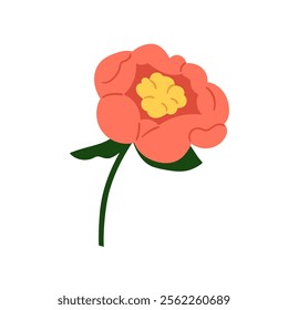 Peony flower, spring blossom. Gorgeous floral bloom with gentle petals, stem. Elegant botanical garden plant, beautiful bud, decorative element. Flat vector illustration isolated on white background