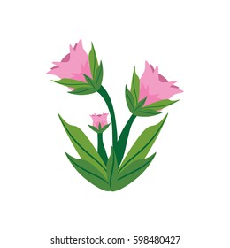 peony flower spring image vector illustration eps 10