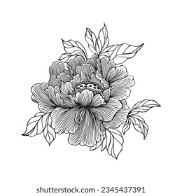 Peony flower, stylization. Outline drawing, sketch for coloring. Vector