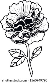 peony flower tattoo art sketch design 