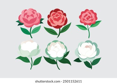 "Peony flower vector art illustration featuring intricate details and vibrant colors, perfect for digital design, print, and creative projects."