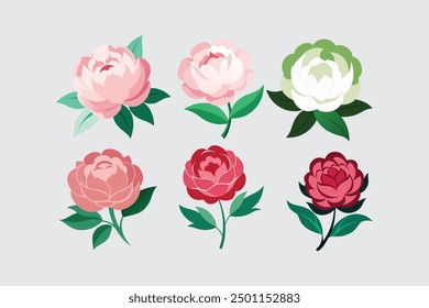 "Peony flower vector art illustration featuring intricate details and vibrant colors, perfect for digital design, print, and creative projects."