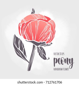 Peony flower vector hand drawn sketch. Floral plant botany element. Colorful illustration on light background for your design.