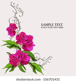 Peony flower vector illustration