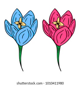 Peony flower vector illustration. Doodle style. Design, print, logo, decor, textile, paper.