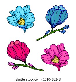 Peony flower vector illustration. Doodle style. Design, print, logo, decor, textile, paper.