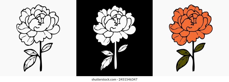Peony Flower vector on white isolated background. beautiful botanical illustration. Decorative floral silhouette.