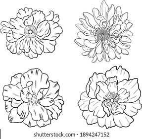 Blütenvektor für Tätowierungen auf weißem Hintergrund.Schöne Linienkunst für Doodle-Farbbuch mit Peony-Blumengrafik einzeln.Chinesische Blütenkunst.Chrysanthemum floral.