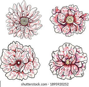 Peony flower vector for tattoo design on white background.Beautiful line art for doodle coloring book with Peony flower illustration on isolated.Chinese flower hand drawn style.Chrysanthemum floral.