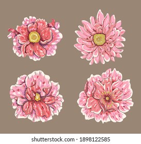 Peony flower vector for tattoo design on white background.Beautiful line art for doodle coloring book with Peony flower illustration on isolated.Chinese flower hand drawn style.Chrysanthemum floral.