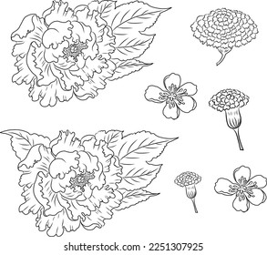 Peony flower vector for tattoo design.Traditional Japanese floral illustration for doodle art and printing on background.Marigold flower vector.