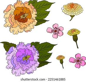 Peony flower vector for tattoo design.Traditional Japanese floral illustration for doodle art and printing on background.Marigold flower vector.